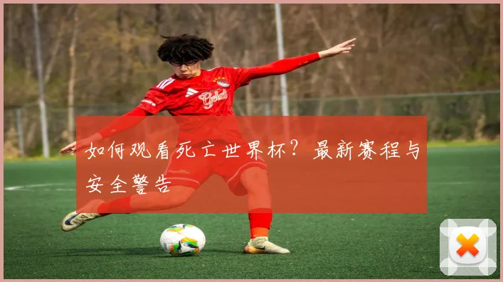 如何观看死亡世界杯？最新赛程与安全警告