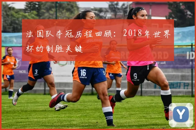 法国队夺冠历程回顾：2018年世界杯的制胜关键