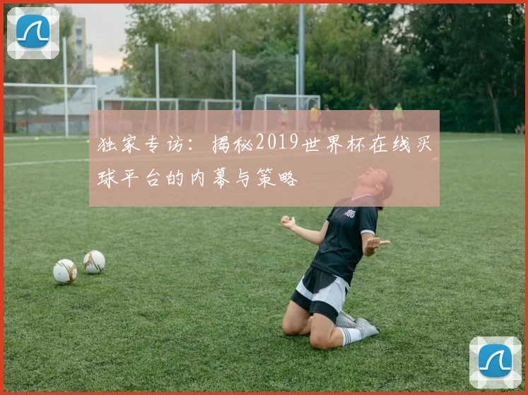 独家专访：揭秘2019世界杯在线买球平台的内幕与策略