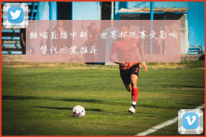 酷喵直播中断，世界杯观赛受影响，替代方案推荐